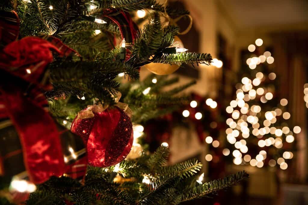 Christmases or Christmas s or Christmas Which is Correct