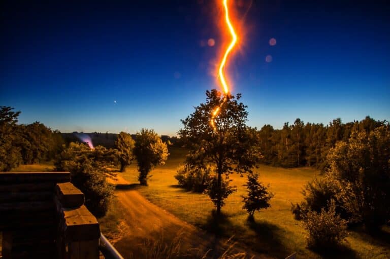 Lightning bolt hitting tree