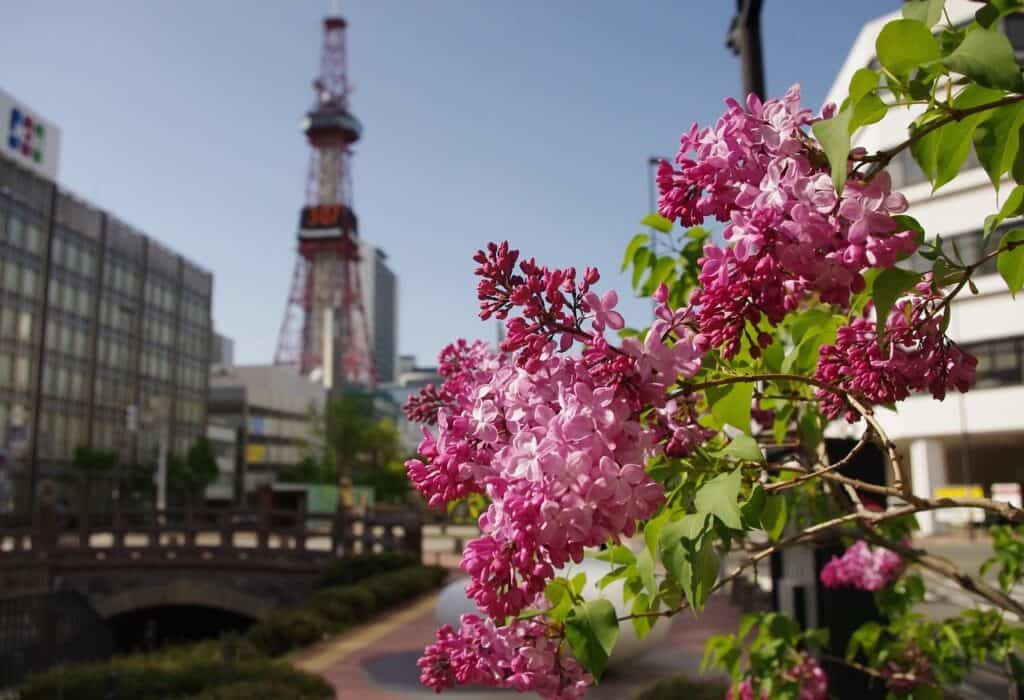 Sapporo