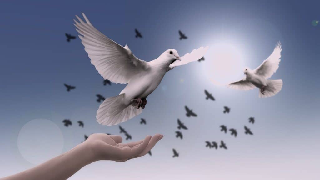 Dove of peace